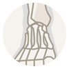 Foot / Ankle Injuries