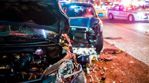 pet injured in car accident